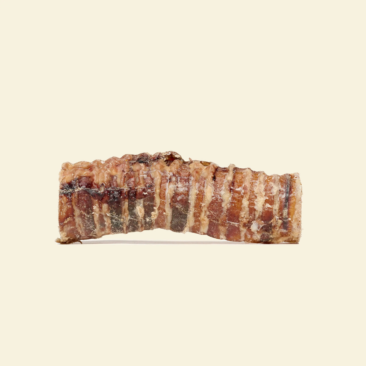 Trachée de boeuf 15 cm DogMastic