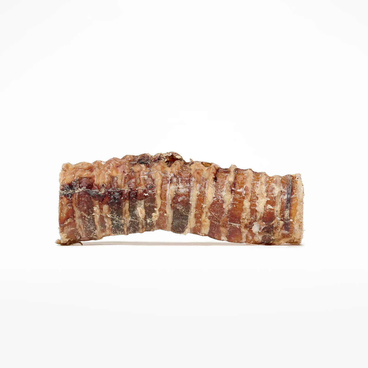 Trachée de boeuf 15 cm DogMastic