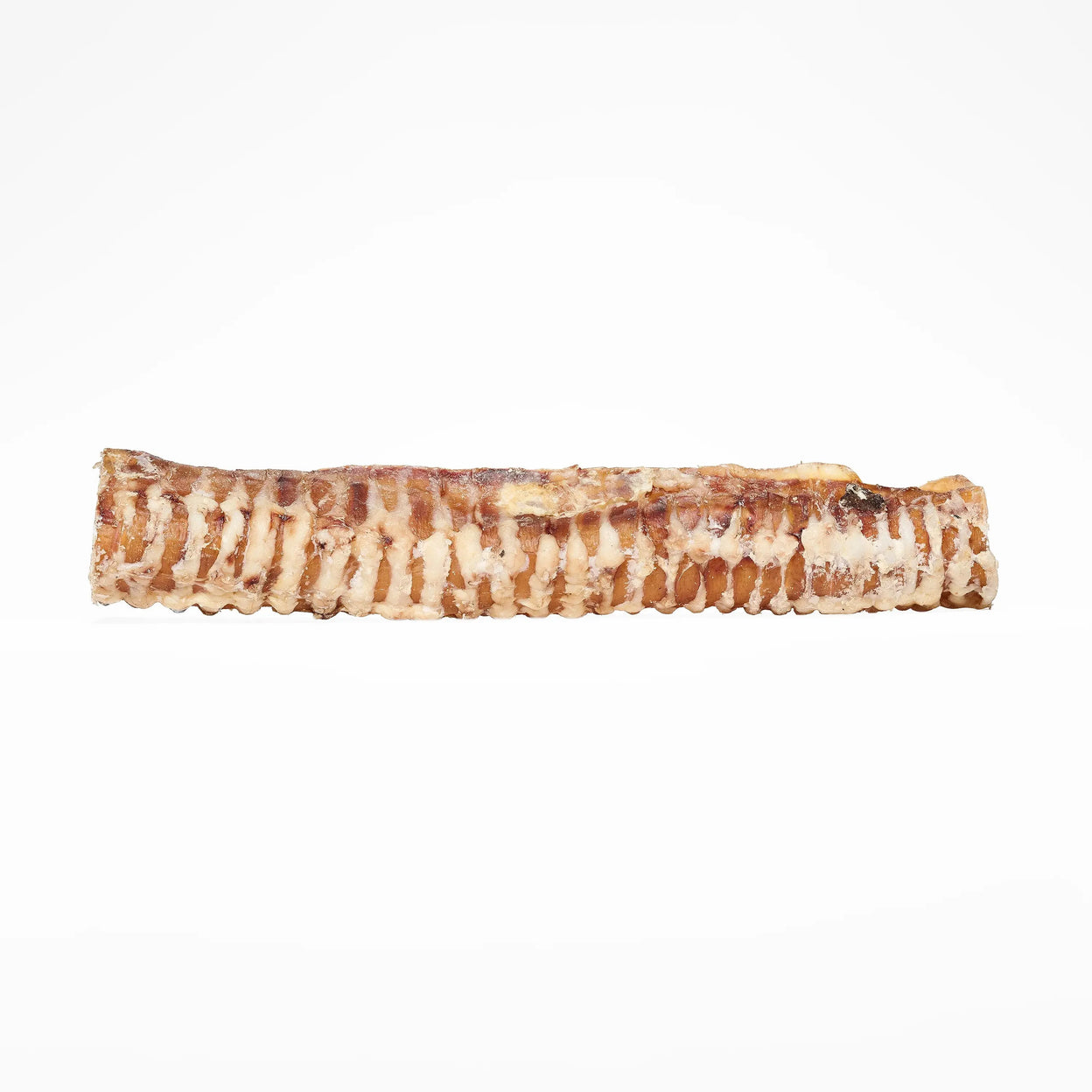 trachée de bœuf 30 cm pour chien mastication naturelle