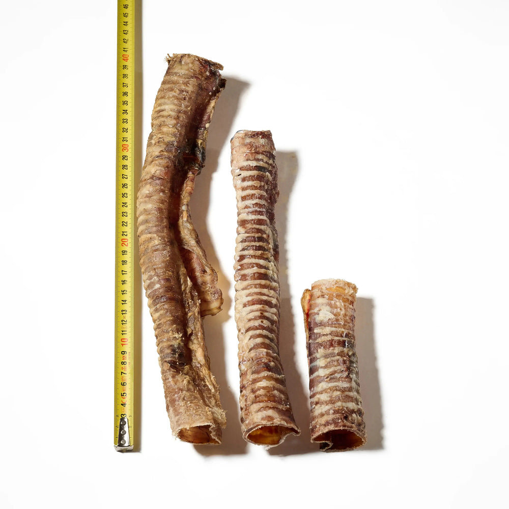 trachées de bœuf séchées pour chien texture naturelle