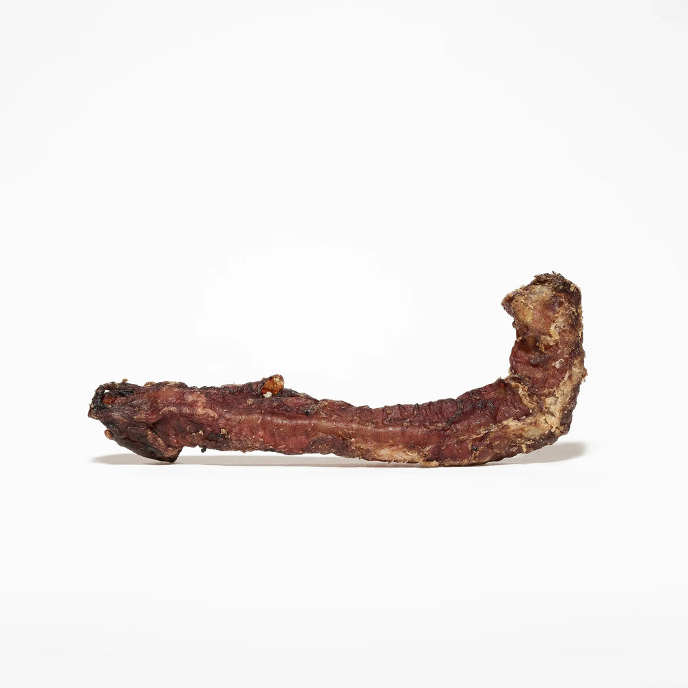 trachée d'agneau pour chien mastication naturelle