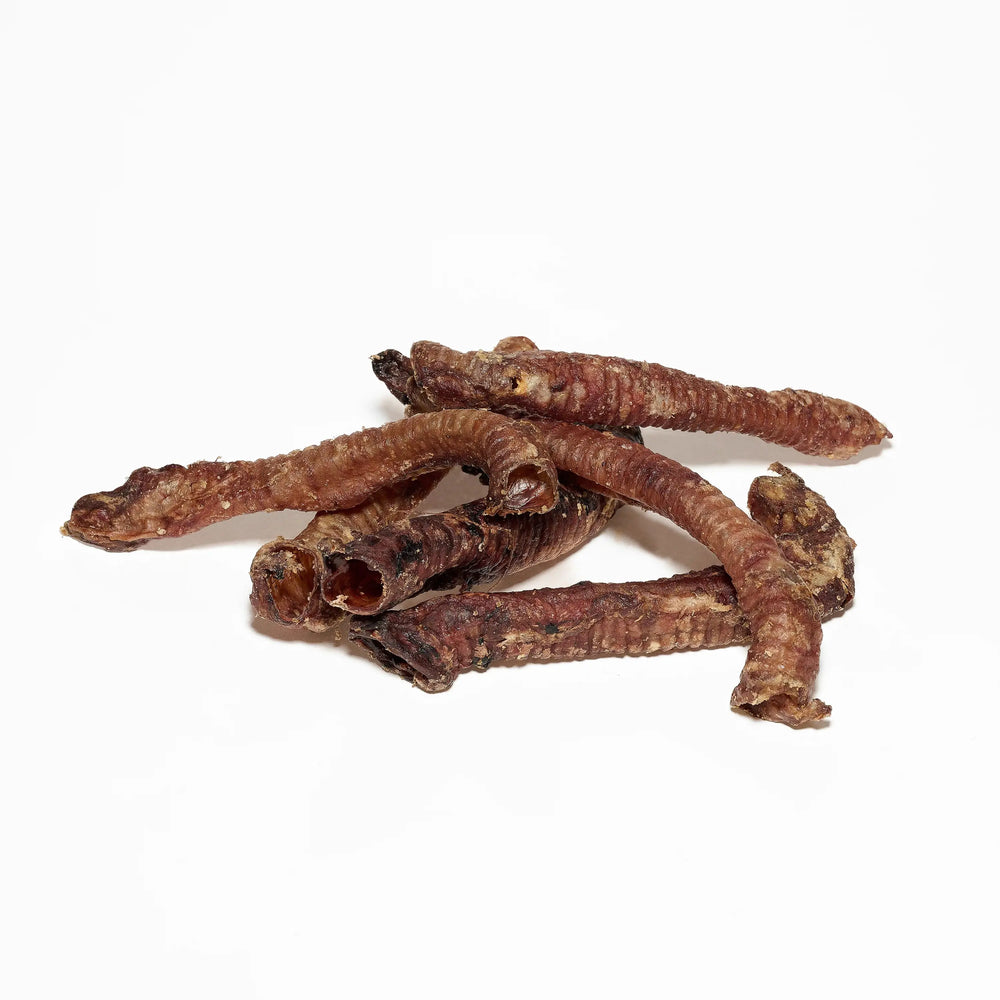 friandises trachées d'agneau pour chien naturelles
