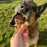 Trachée de boeuf pour chien, friandise de mastication naturelle
