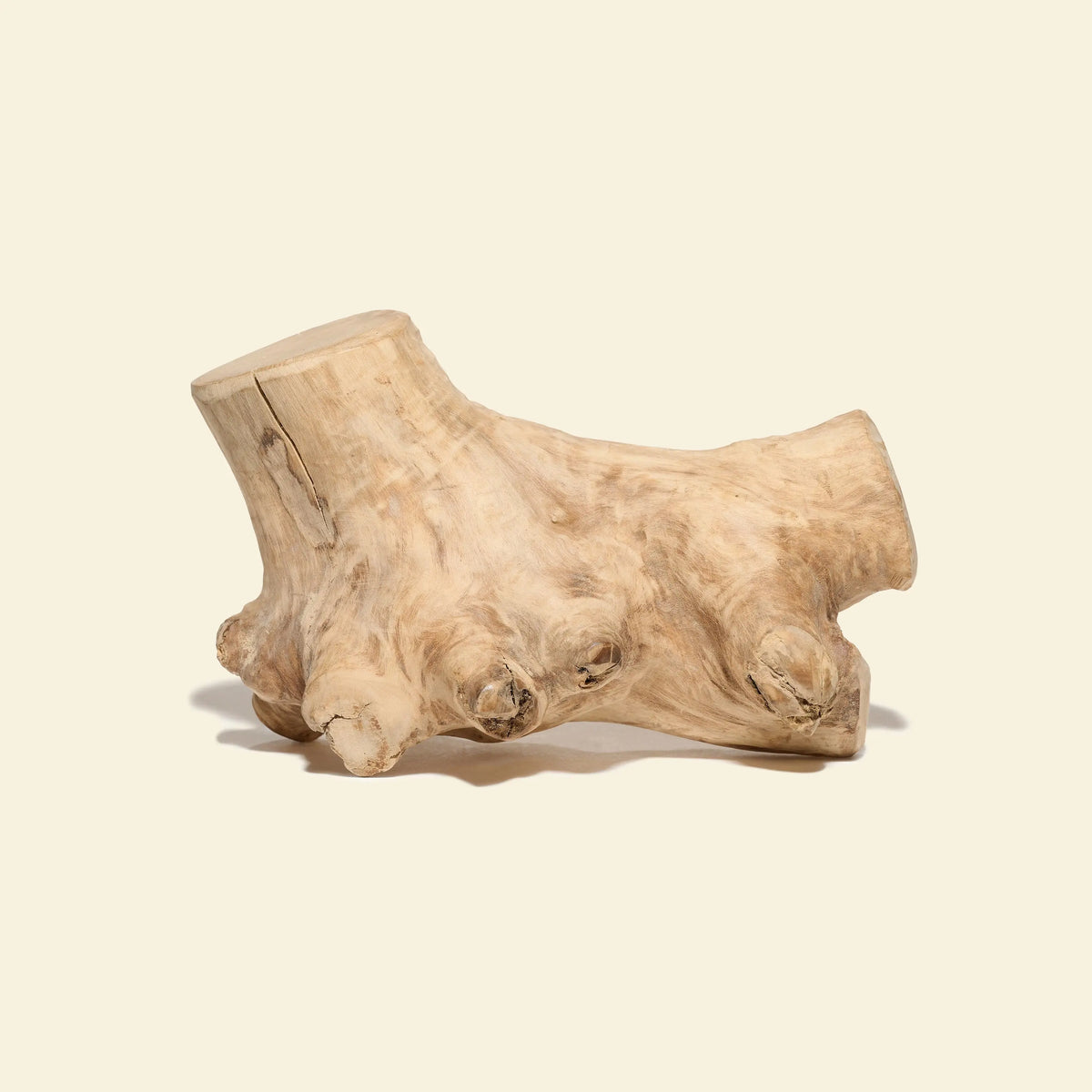 gorilla wood bois naturel à mâcher pour chien