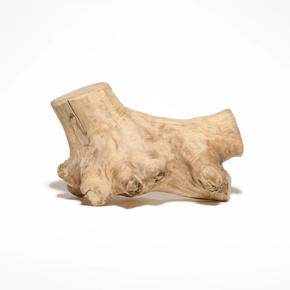 gorilla wood pour chien bois à mâcher naturel