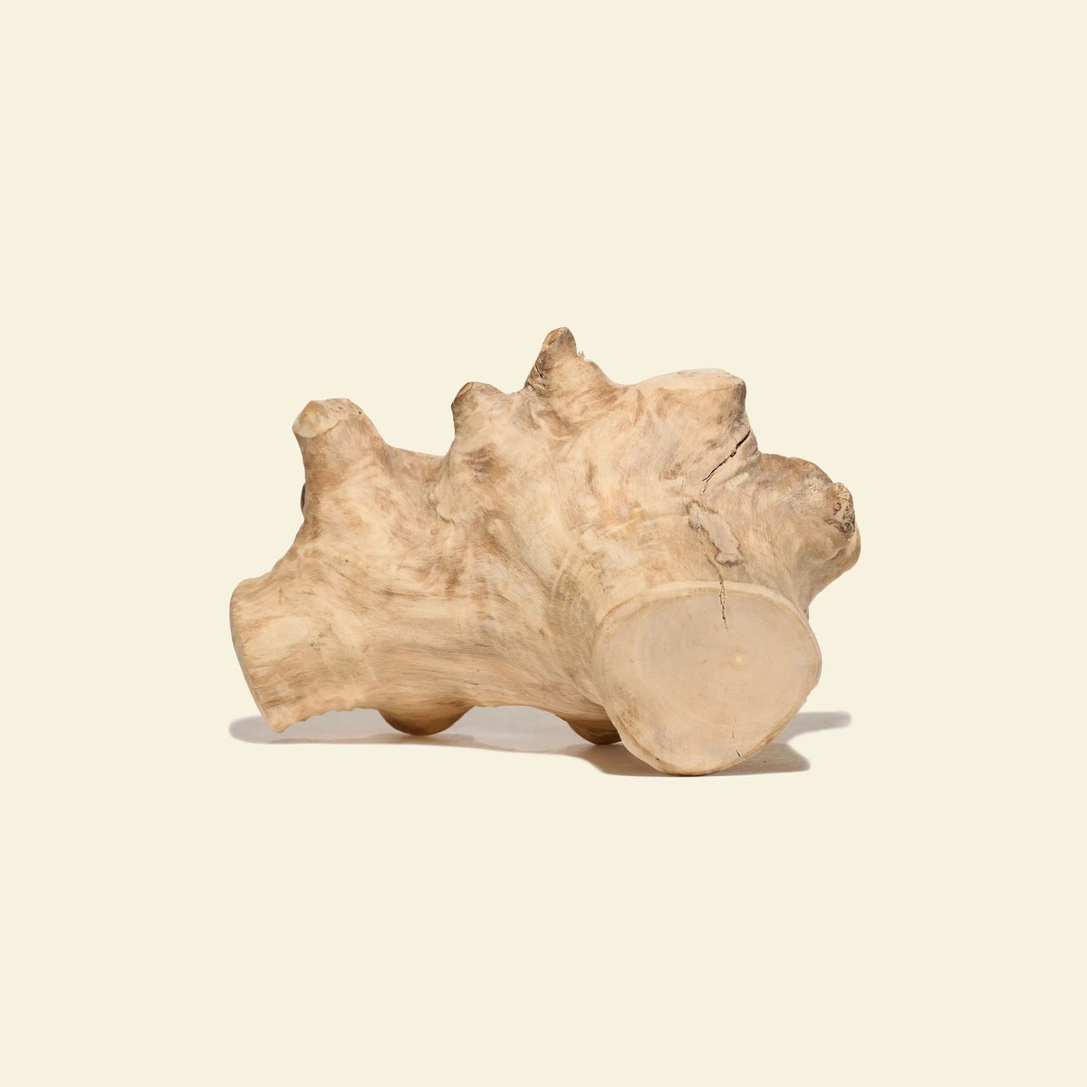 gorilla wood bois naturel à mâcher pour chien
