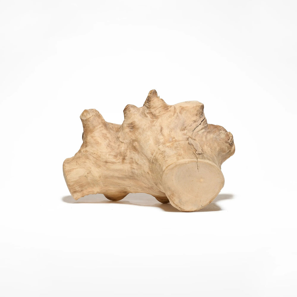 gorilla wood pour chien mastication naturelle bois