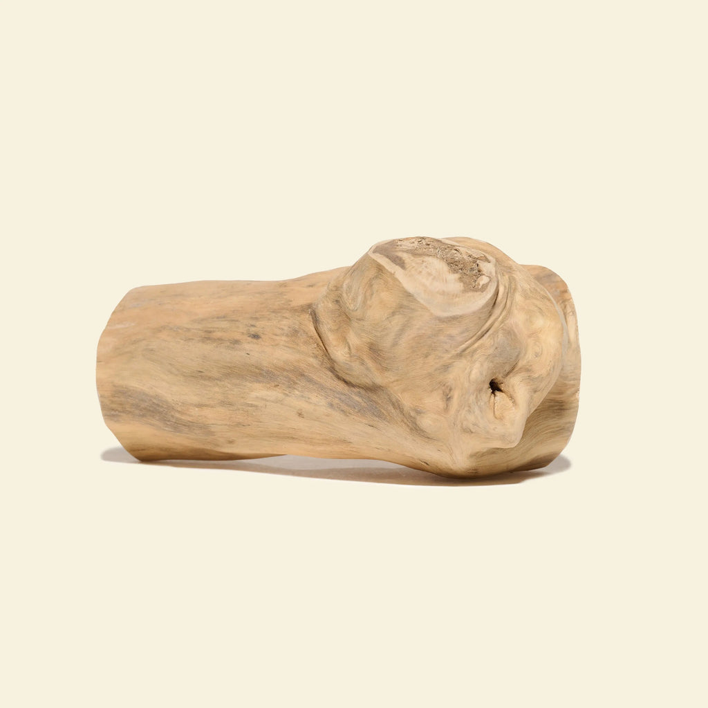 gorilla wood bois naturel à mâcher pour chien