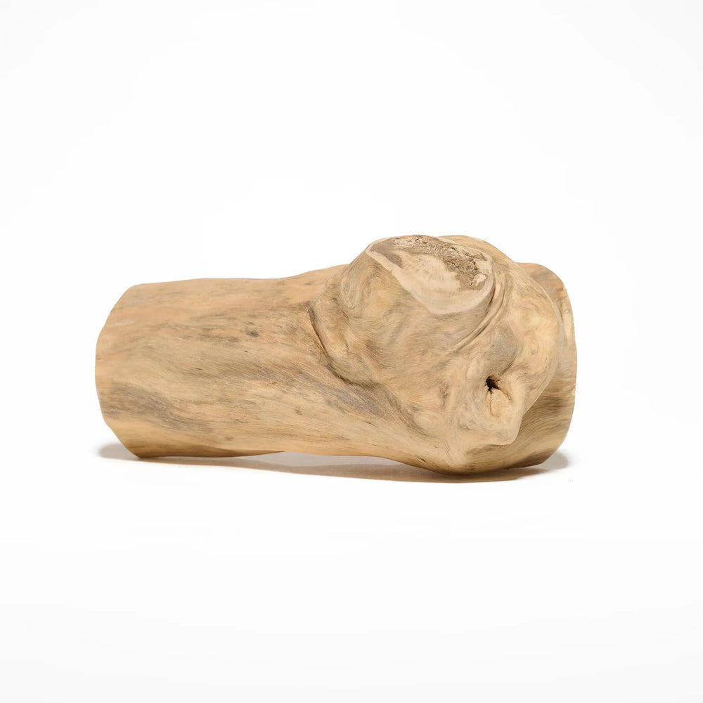 gorilla wood bois naturel à mâcher pour chien