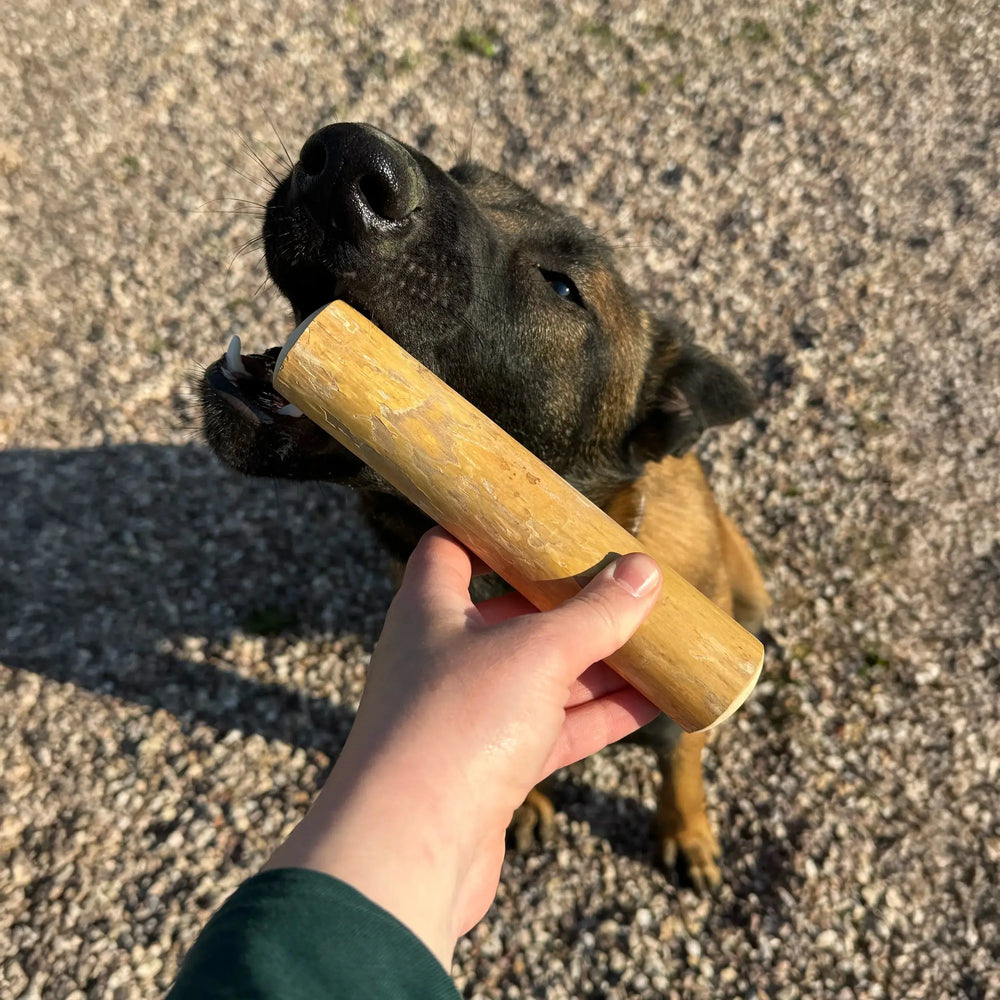 bois de caféier taille M, friandise de mastication naturelle pour chien