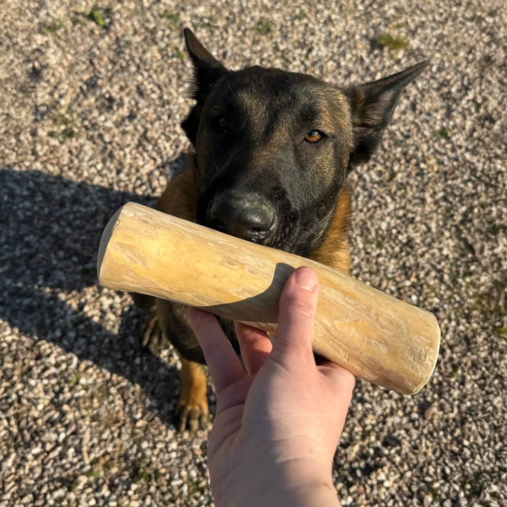 bois de caféier taille XL, friandise de mastication naturelle pour chien