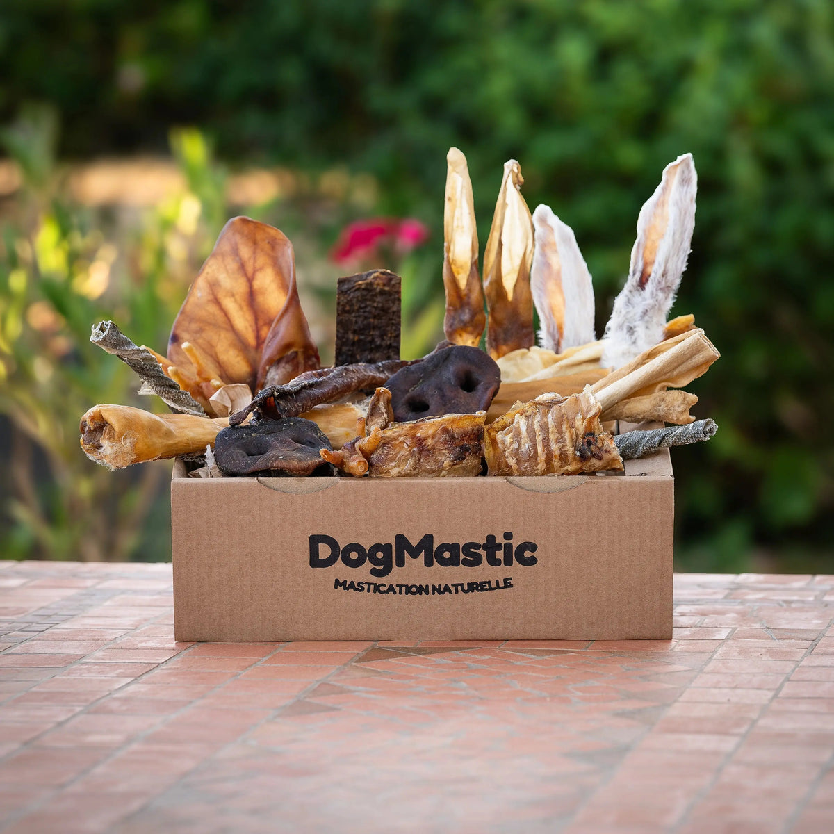 box chiot et petit chien avec friandises pour chien