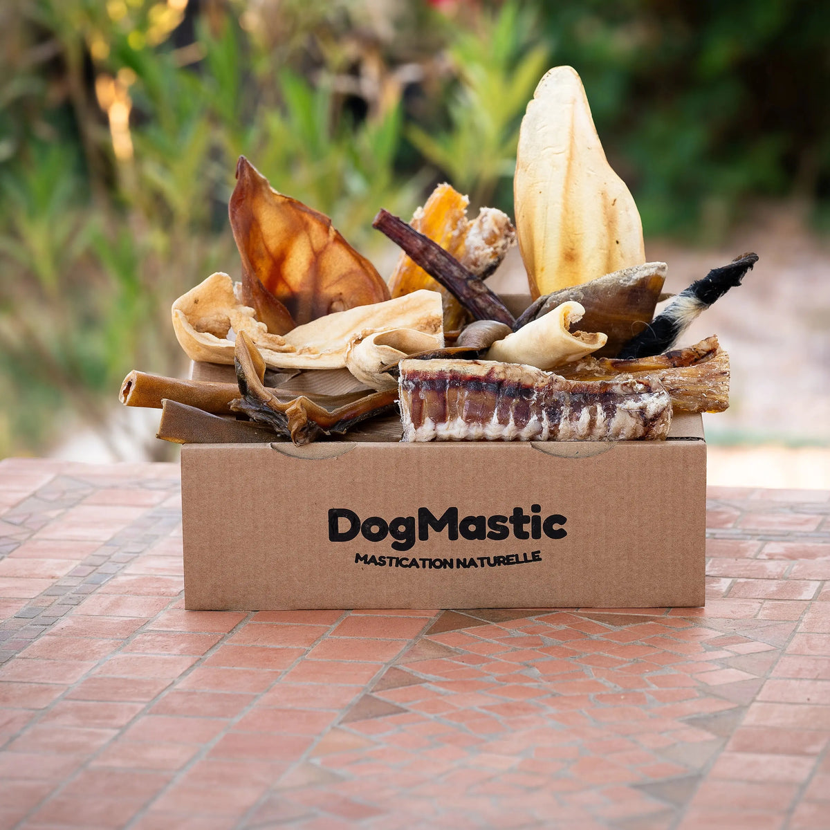 Box de mastication pour chien moyen