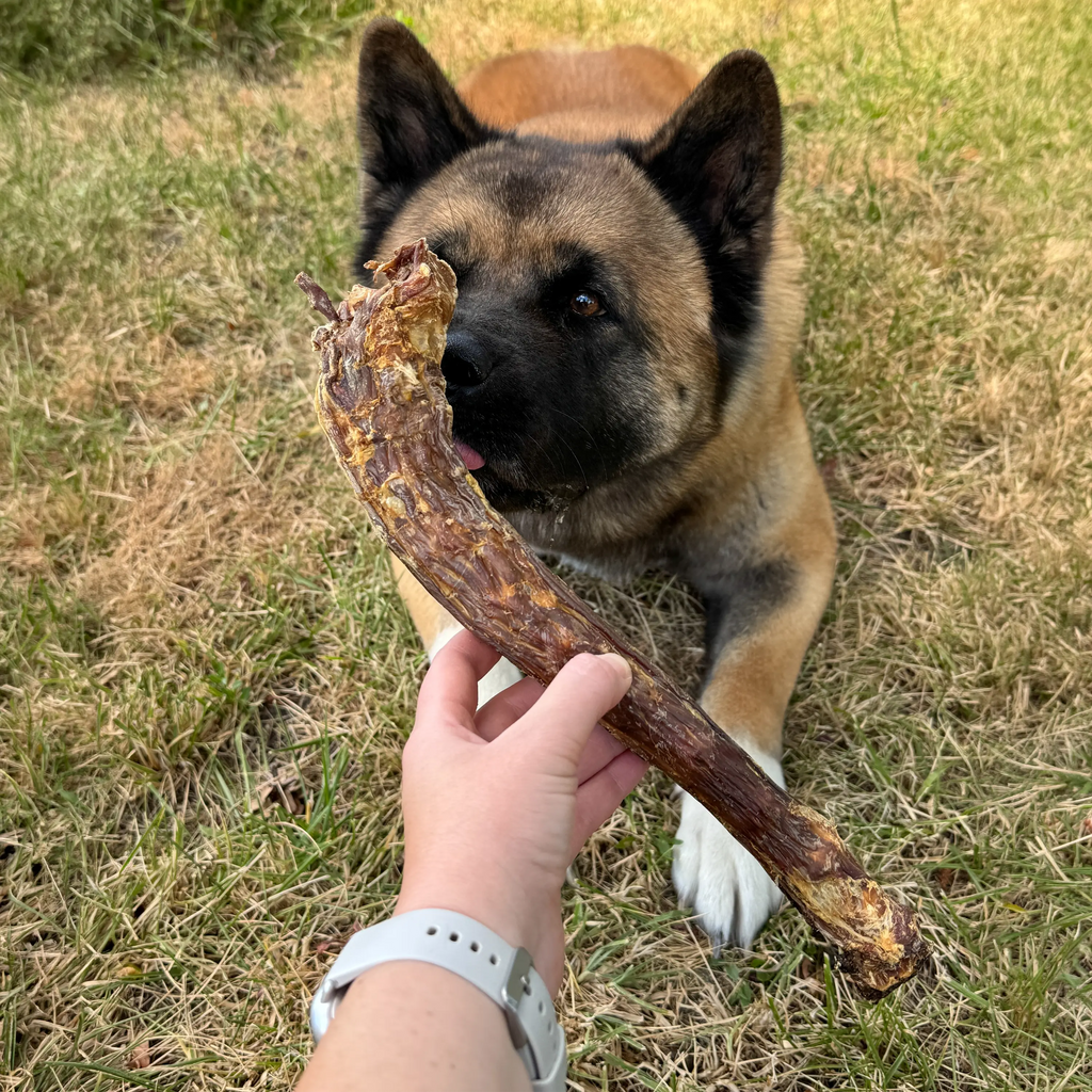 cou de dinde pour chien