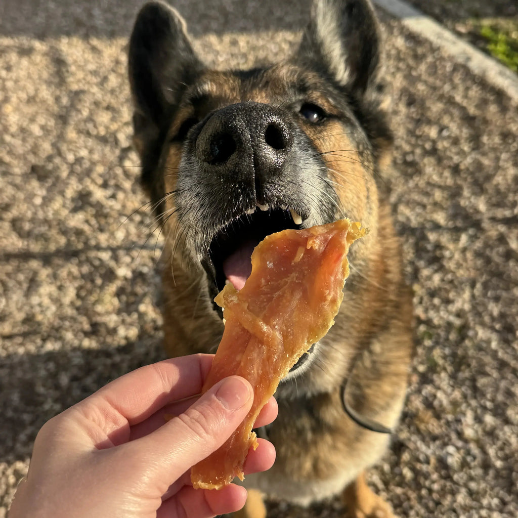 Filet de poulet pour chien, friandise de mastication naturelle