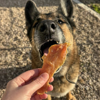 Filet de poulet pour chien, friandise de mastication naturelle