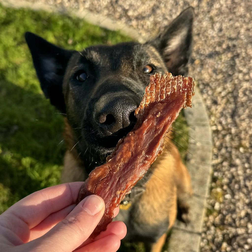 filet de canard, friandise de mastication naturelle pour chien