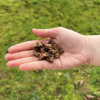 Friandises de boeuf 150 G DogMastic